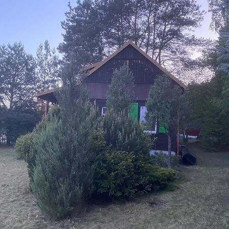 Dom Pod Sosnami Villa Rzewnie Esterno foto