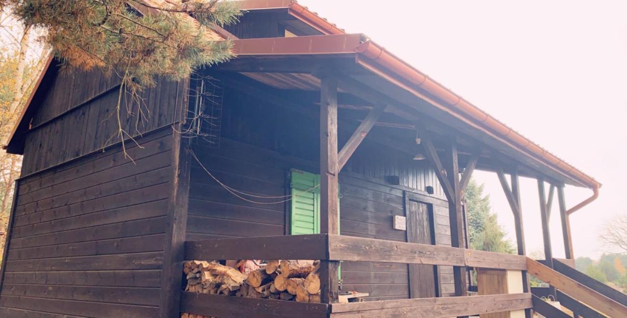 Dom Pod Sosnami Villa Rzewnie Esterno foto