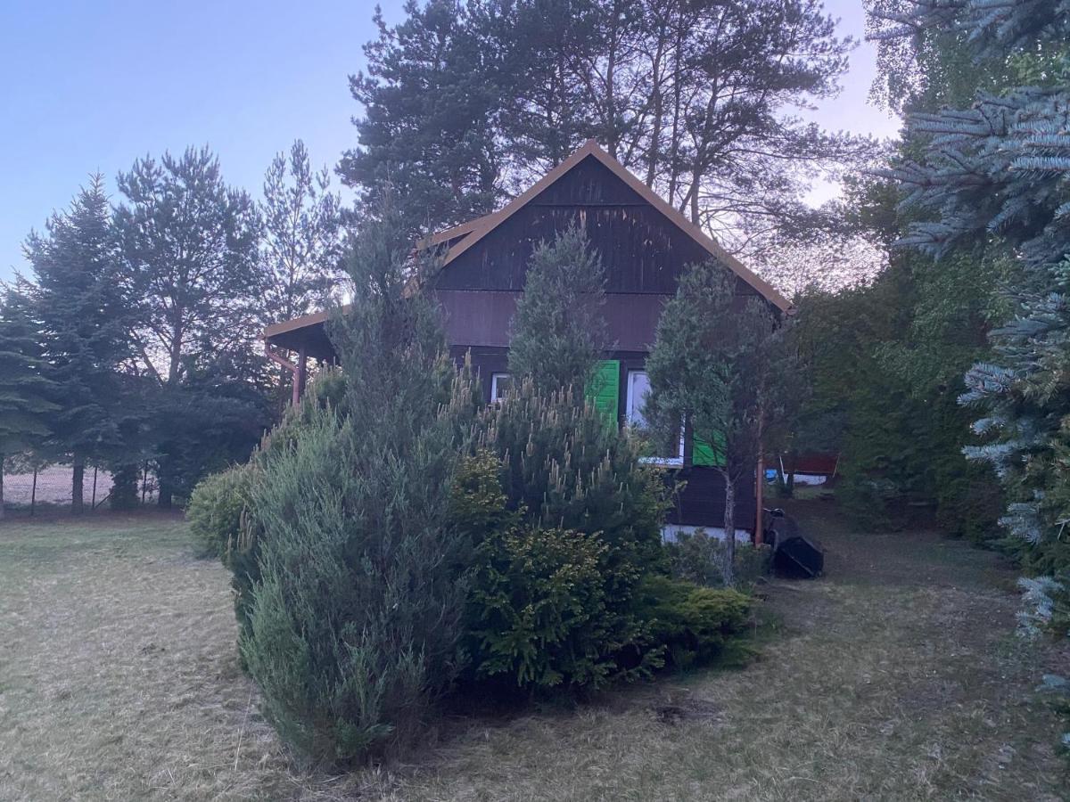 Dom Pod Sosnami Villa Rzewnie Esterno foto