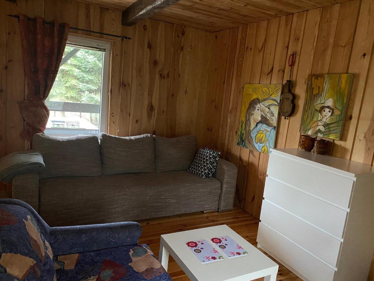 Dom Pod Sosnami Villa Rzewnie Esterno foto