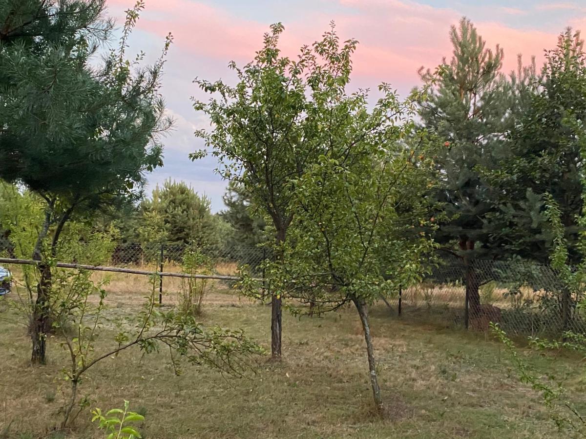 Dom Pod Sosnami Villa Rzewnie Esterno foto